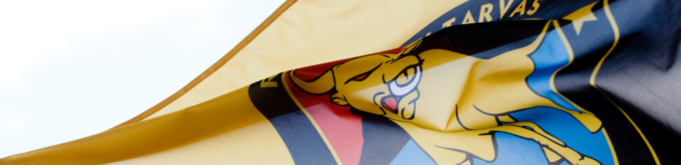 KOKKUVÕTE:  LASNAMÄELT KOHUSTUSLIKUD KOLM PUNKTI