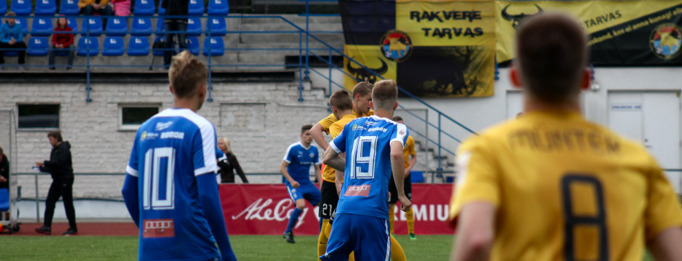 Tammeka vastu püssirohtu ei jagunud