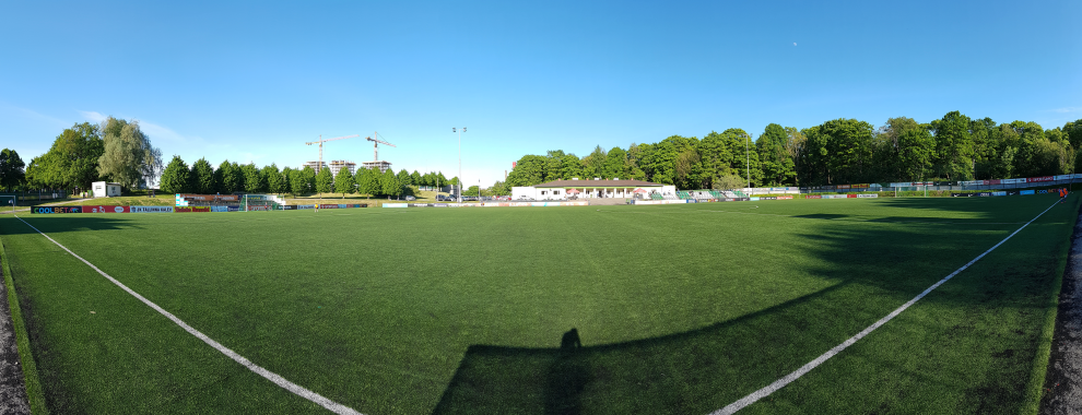 Tarvas Kalevis võidukas